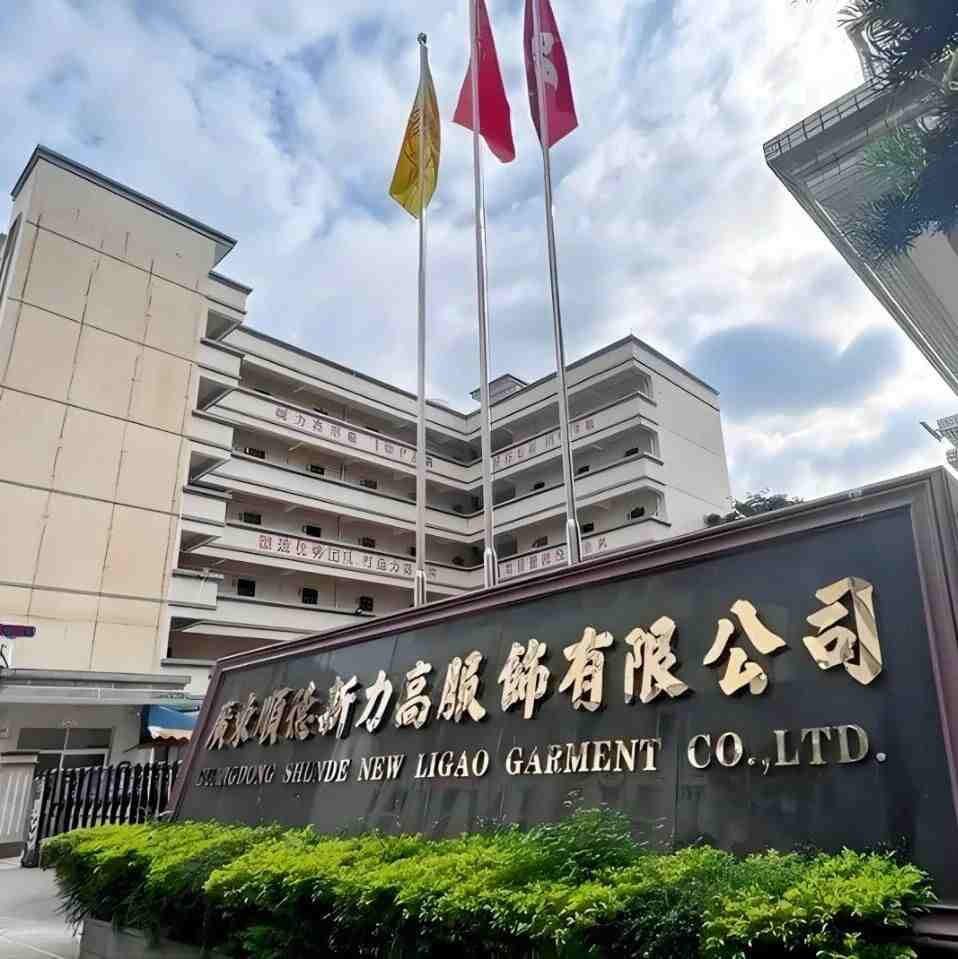 均安文旅教育基金|顺德新力高服饰有限公司捐赠20万元
