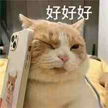 接驳地铁站！深惠跨市专线+1