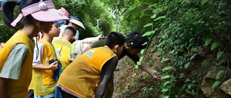 【秋假活动招募】寻迹佛山・乡野与匠心——秋假本土文化研学营