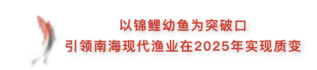 05503bf37c65448fb6b391f26eb0bf66.png