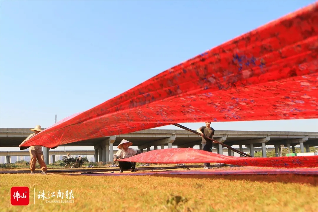 0ddc46510d58460e937cae31cbb25cc6.jpg