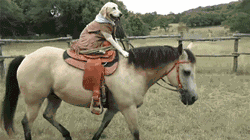 149e2f131b2545b5b3ad1315735a8496.gif