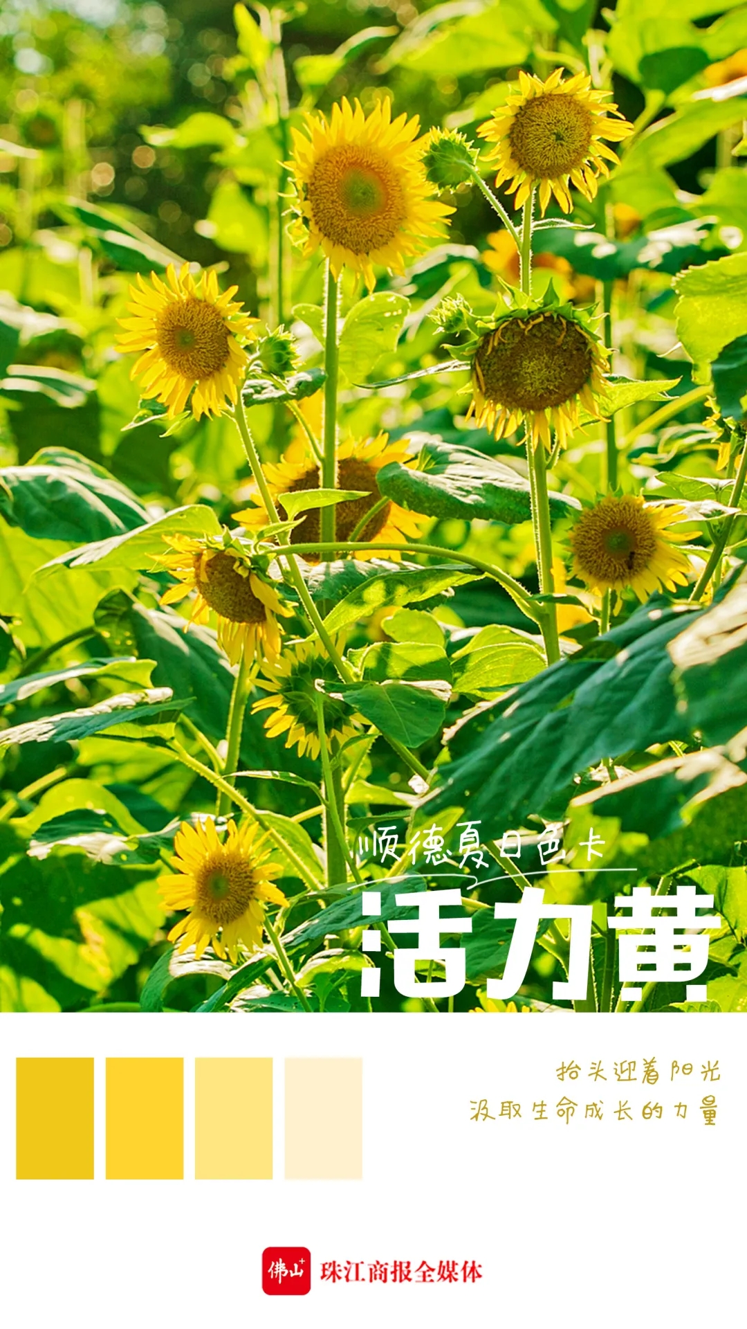 162d30d37cb1472e947a03e7710b6c94.jpg
