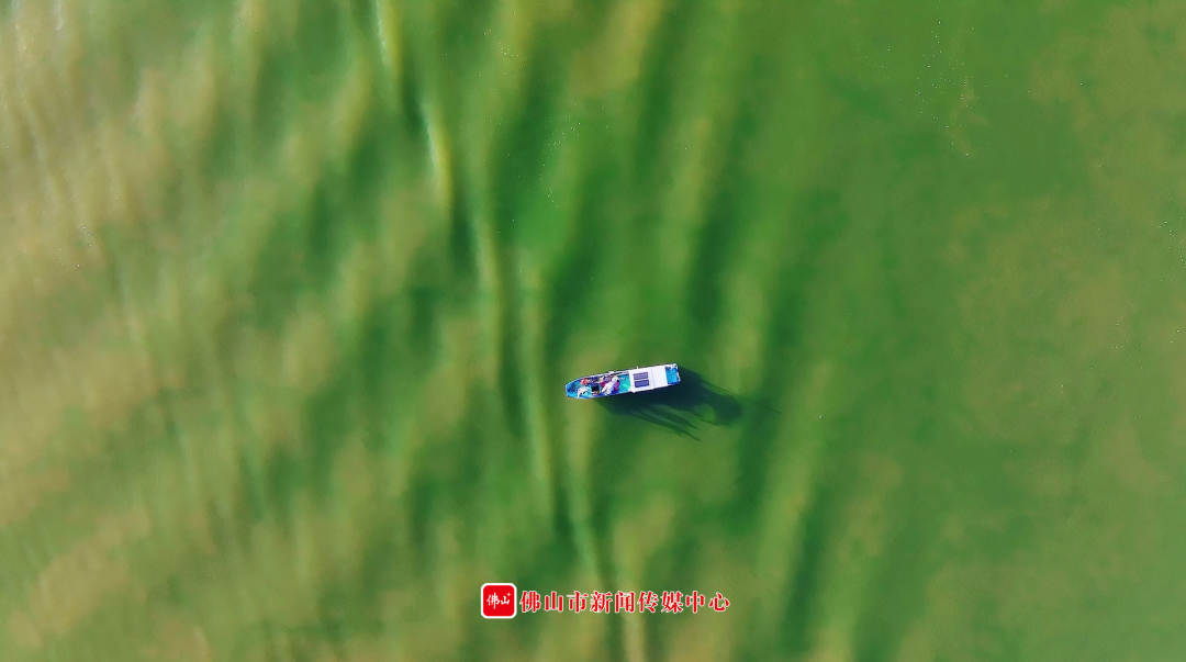 1669bd92535844a1a0e383359f48f50e.png