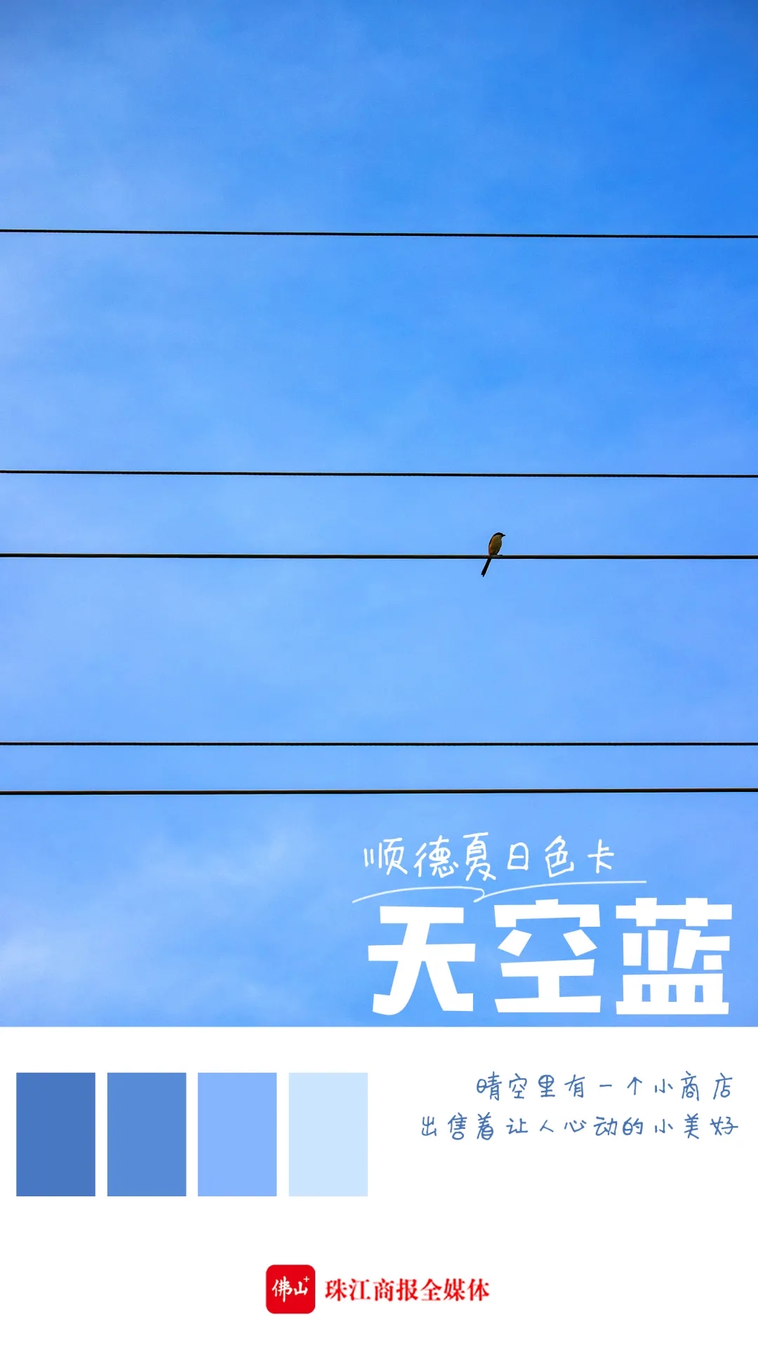 1c5f02be91a34afaa024d7313c5adbd6.jpg