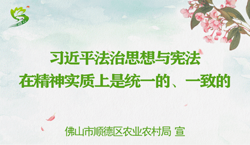 1ccc7e038c8b401797f4c586fcb7399d.gif