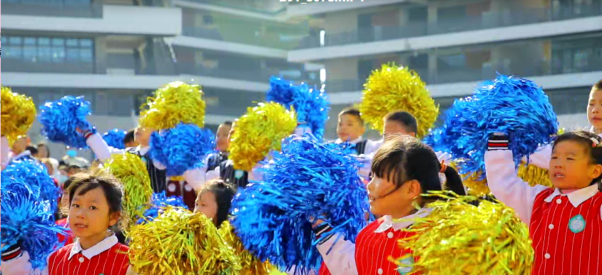 2a38073592f14b4290e670fd2fad070f.png