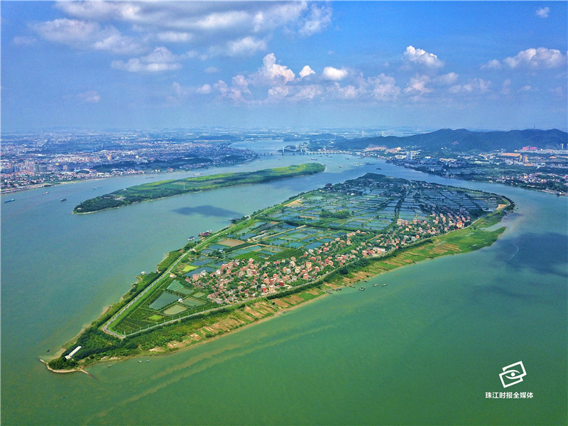 按照沙仔岛"一岛一策"生态修复方案开展工作,2020年完成验收工作.