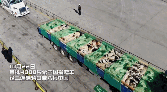 3a5ed7fbc4b244f4a53095e8c9820fa7.gif