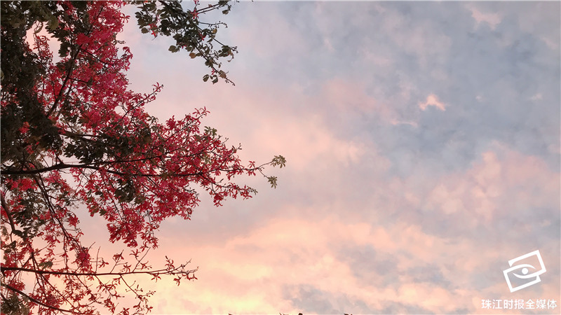 3f0d657b898a43af818a479175fc1afb.JPG