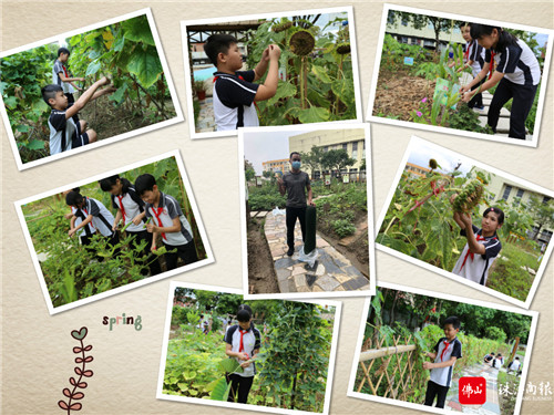 3fae138a6d7a4a1cb652bfda22947cef.jpg