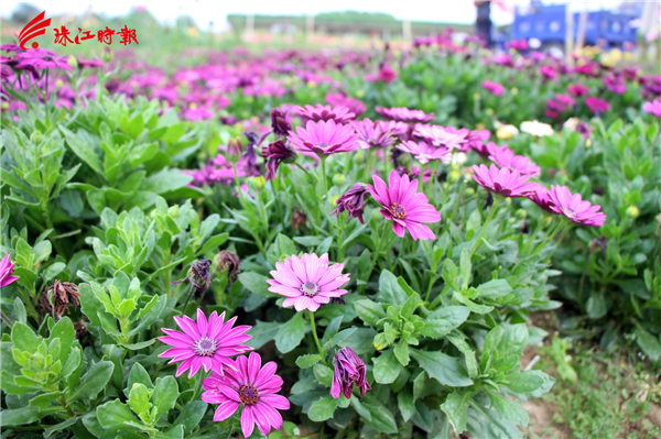 4180aefc39cc4968b4a10653169a1b92.JPG