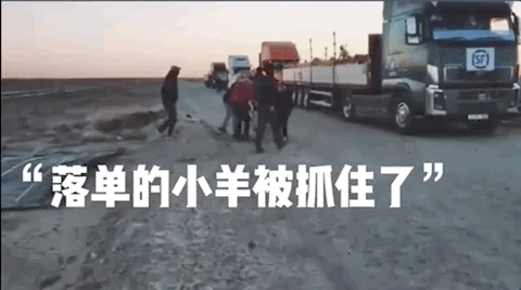 4231317598ce4c6aaa18f50c01e8467d.gif