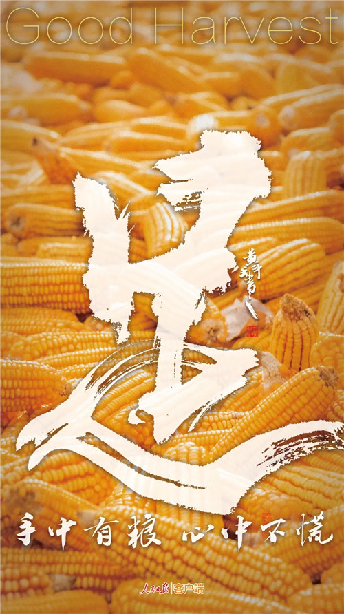 43e0805e533440028f0b552f19c6feb6.jpg