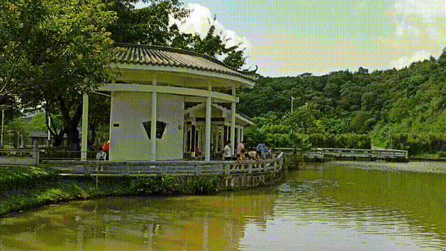 503b2a353fa64b30a77716c50e1220fa.gif