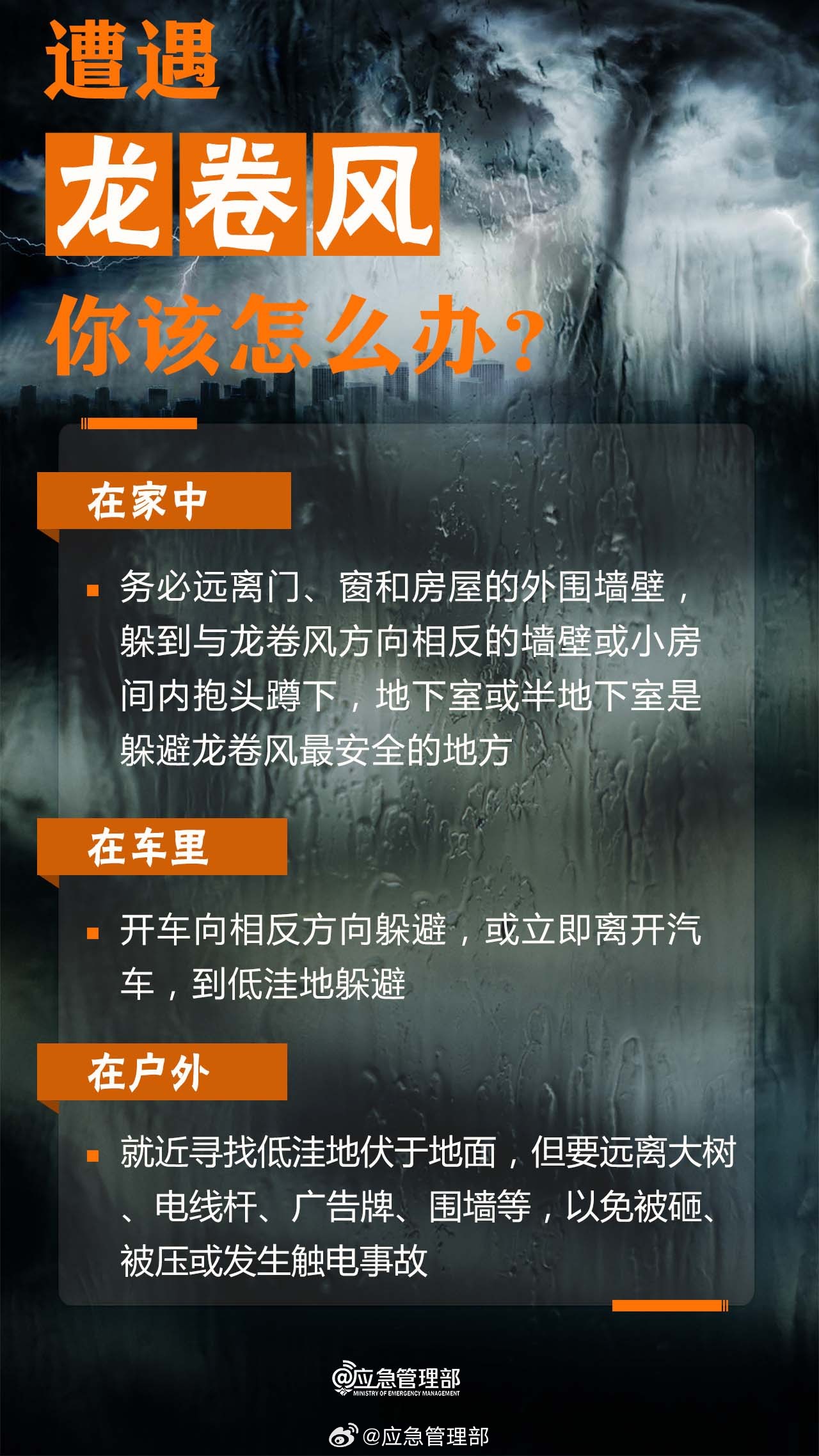 67be4c1b18e24a1184775851b6e19dca.jpeg