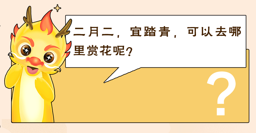 6801ba566dc0423a9272b95be9ed2e3b.gif