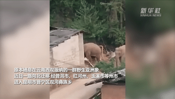 7081c154ee9d46dc95b102243c9594d2.gif