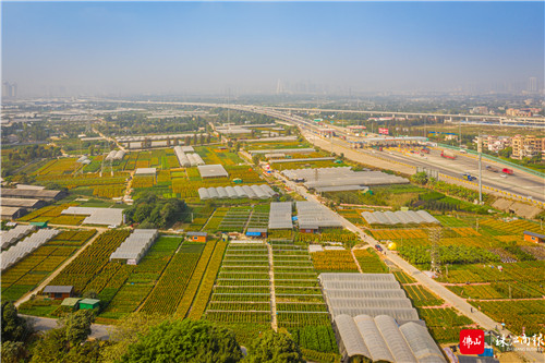 73c9a8f049b0442dac286d0cdd84daf9.jpg