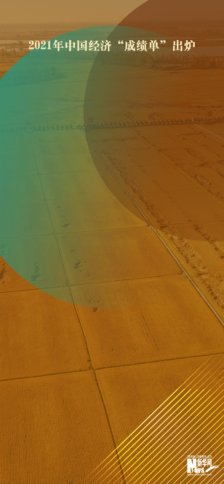 7915d2c5aafe4b6b901c0469de26ff2b.gif