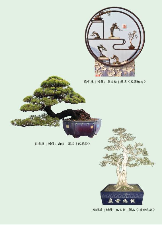 7e702f00803946c1b94b6c027531db6c.png