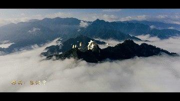 81f61fcd0887495988e36fa830ad413c.gif
