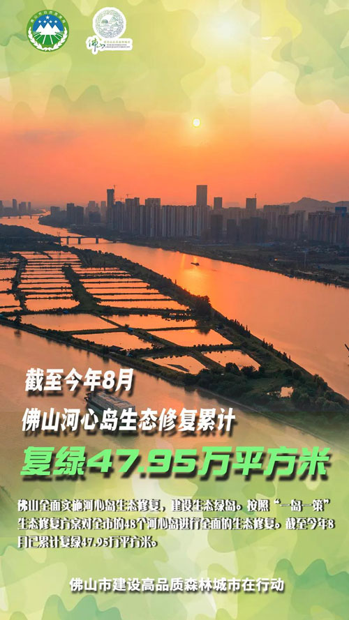 955f92c76cbe499885d8c2a5136de727.jpg