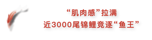 9c5aef2ab3dd494e9897617d9a585de3.png