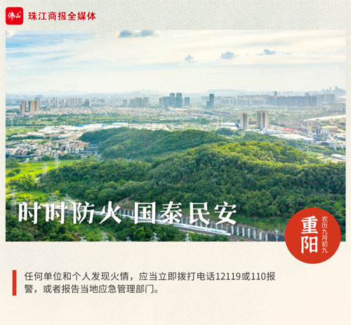 a218cad3e46741d38fecc10aefc40c05.jpg