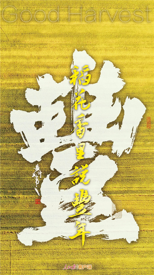 a3332663fa034f07b901156bfa6796e5.jpg