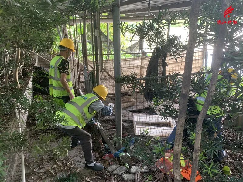 a68d07ac678c494abf4646d589a13705.jpg