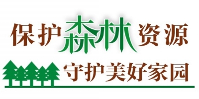 a856395ecb5b456da65de23be95064ab.jpg