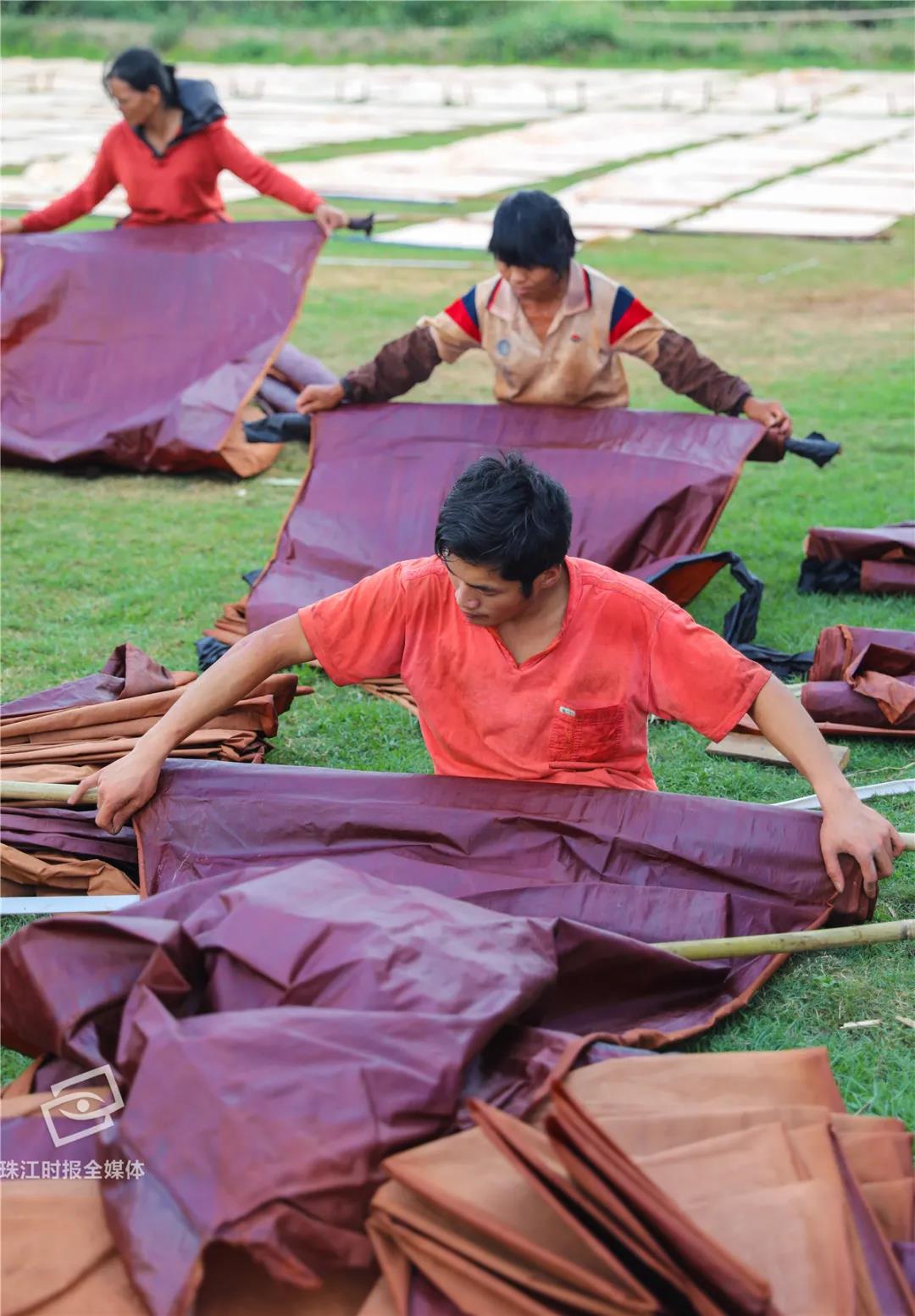 岭南瑰宝!香云纱这样晒出来