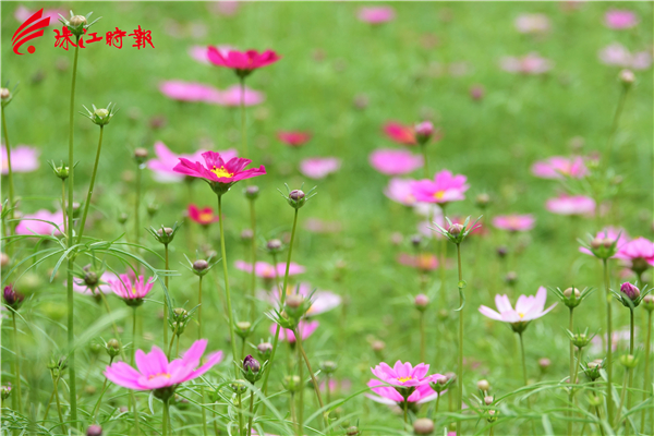 ad6dff8bb7a1430bbdf27dbfd800bc5e.JPG