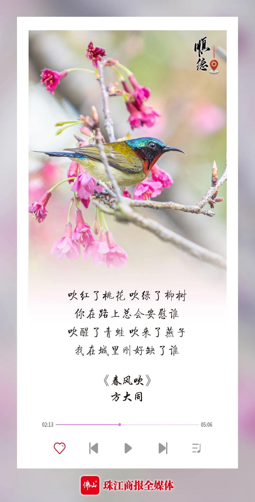 adea14836aa2415c8a73acf6c02ca364.jpg