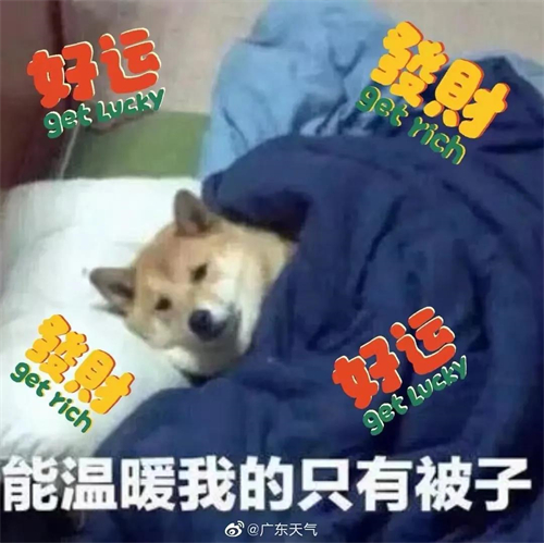 af1bf5faadcd4ff38cf599ae9a4374df.jpg