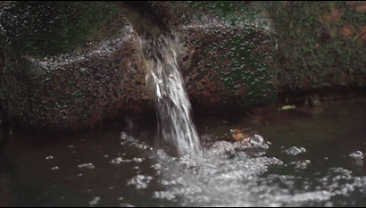 b34c21e32c7649fa9b9fedbb775e2c11.gif