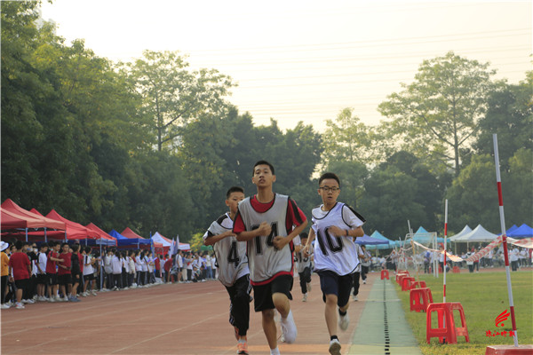 b4895fdf9a554fbfabdd8314db119b46.jpeg