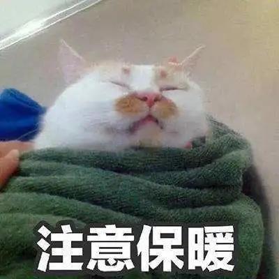 b4f0e64edf7c42b7b0c5645374d1efcd.jpg