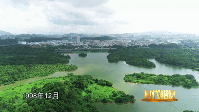 bd4684b652324f1a9baa6917cd20e35d.gif