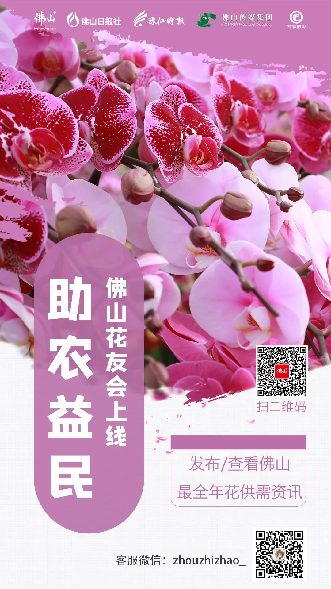be47c19c276b4c29bfb51b39130e9181.jpg