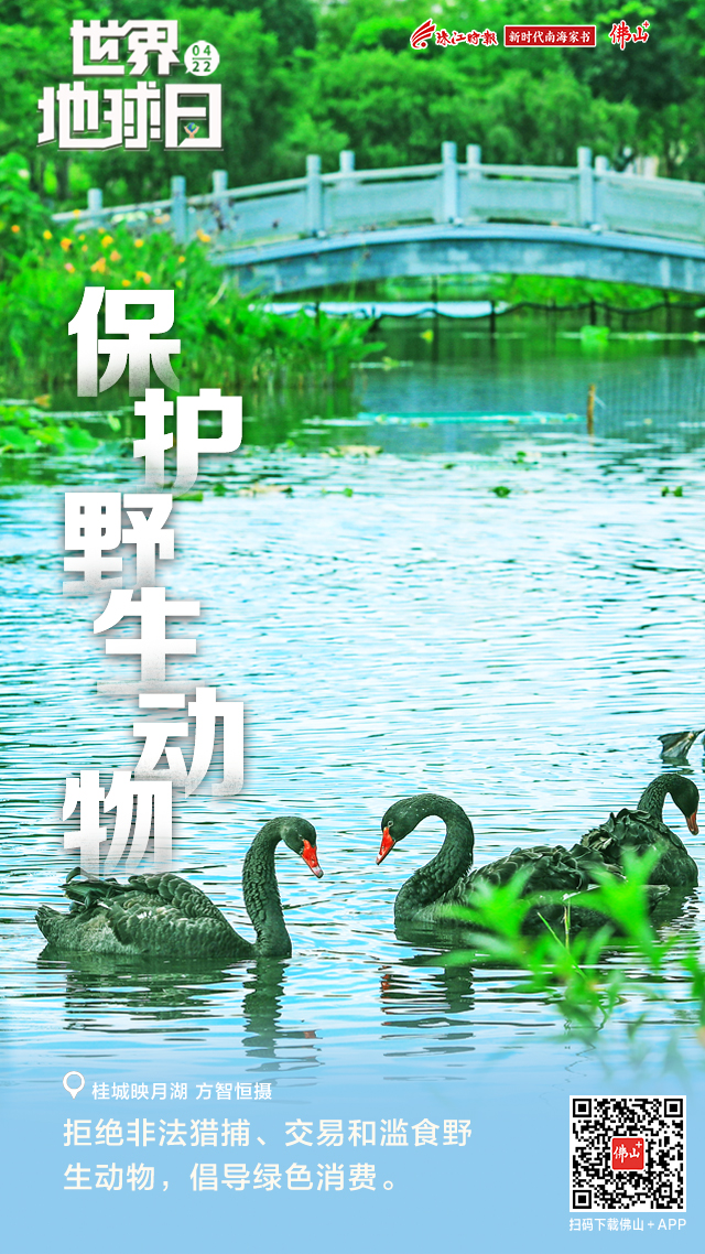 bef297a645484233b76a1464035d5783.jpg