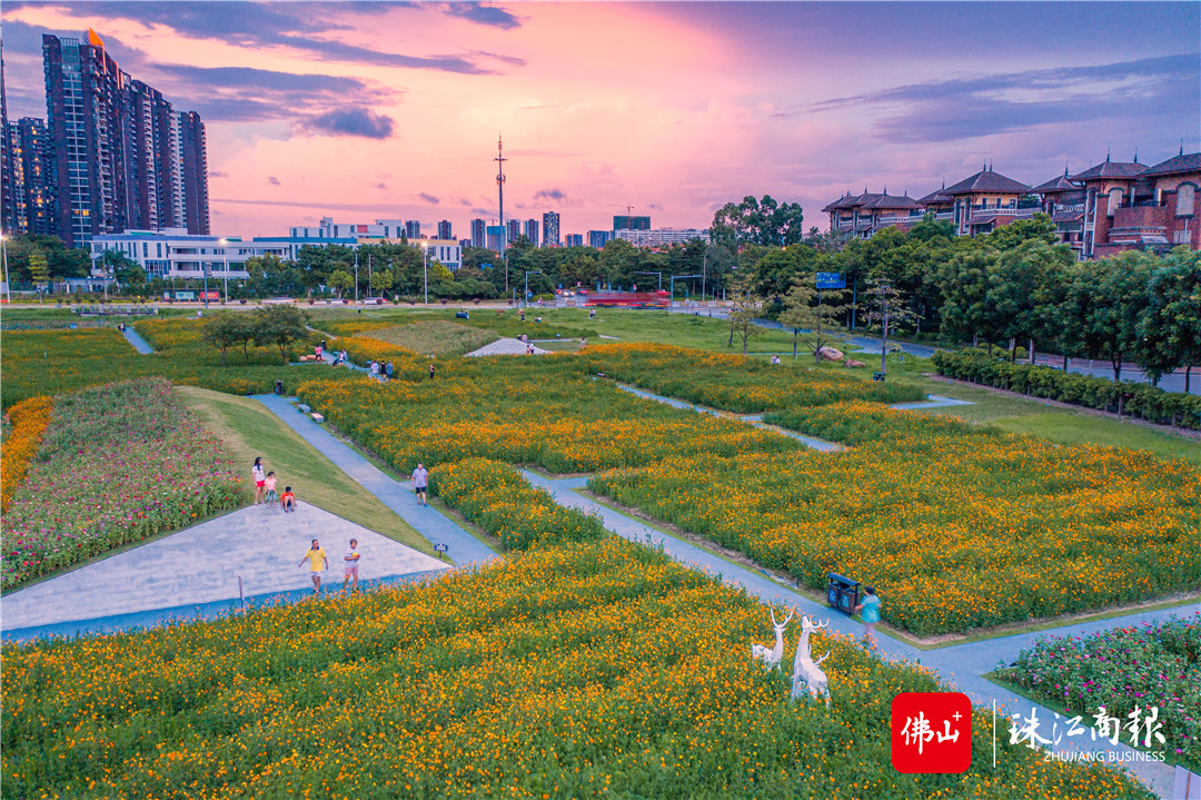 北滘大美公园何时开建图片