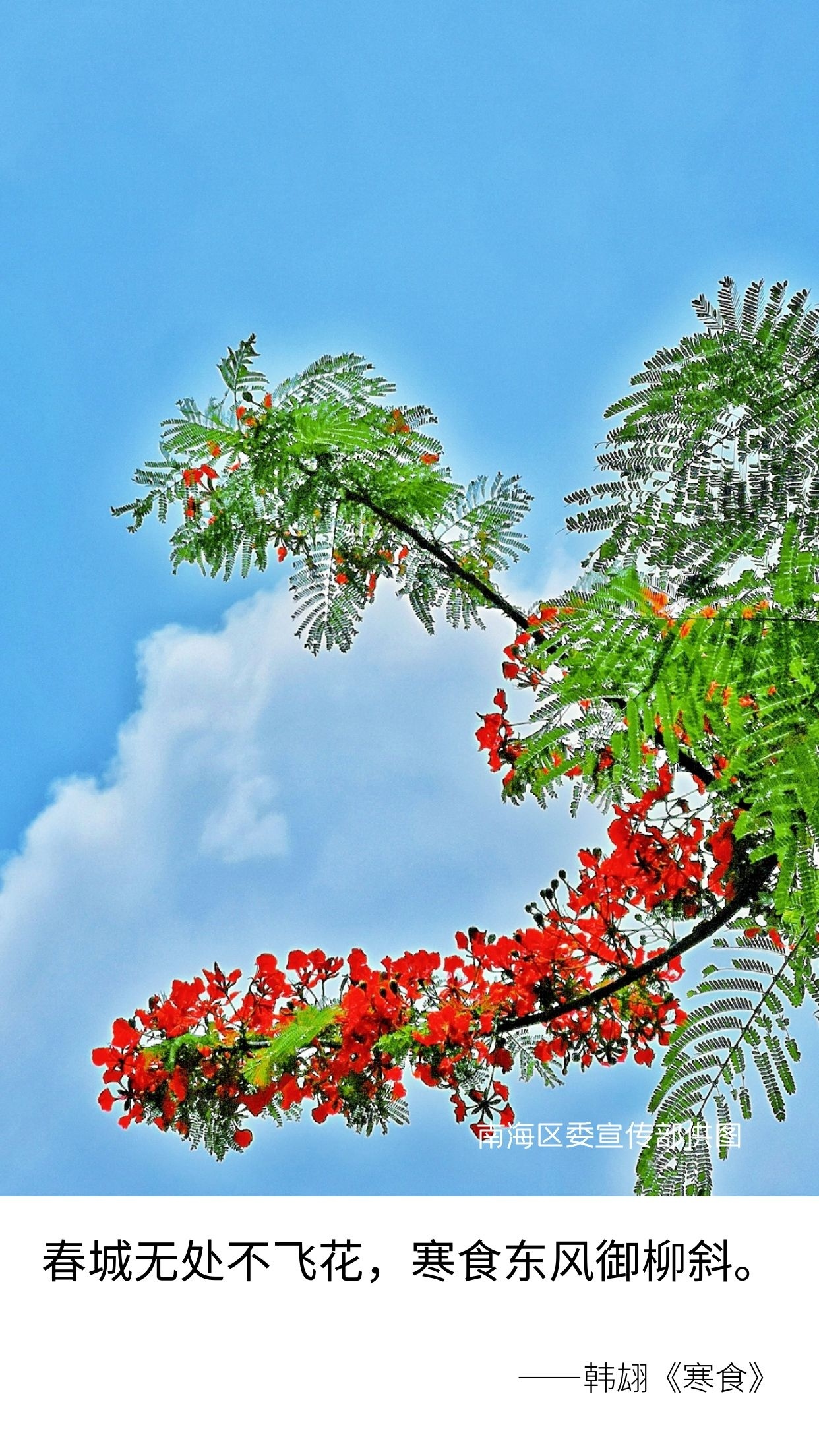 c43bb6fc67074495ad12078348716715.jpg