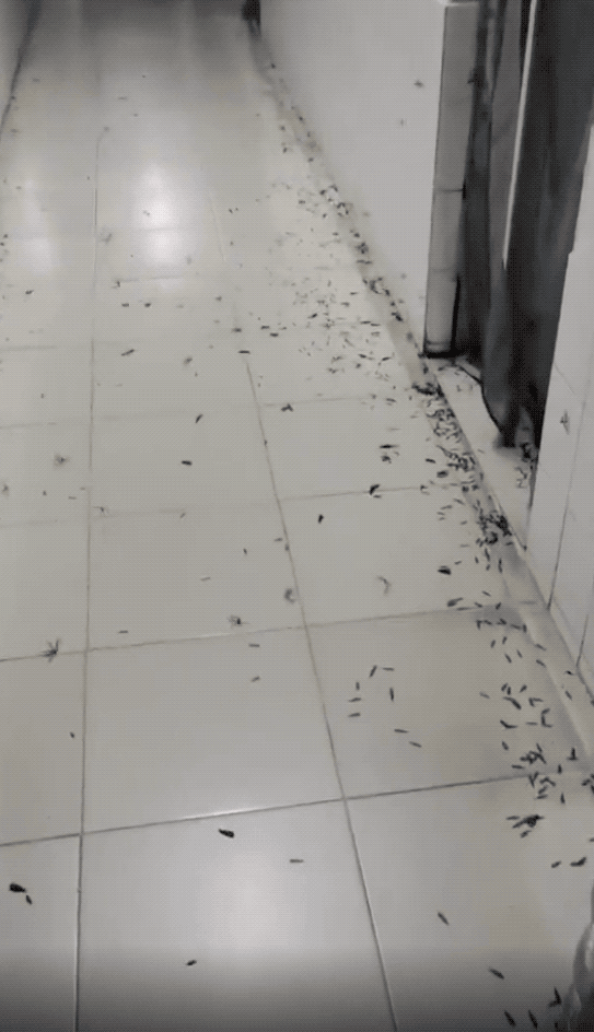 c4d7afdc048b4f65a3e47e01235d0b0f.gif