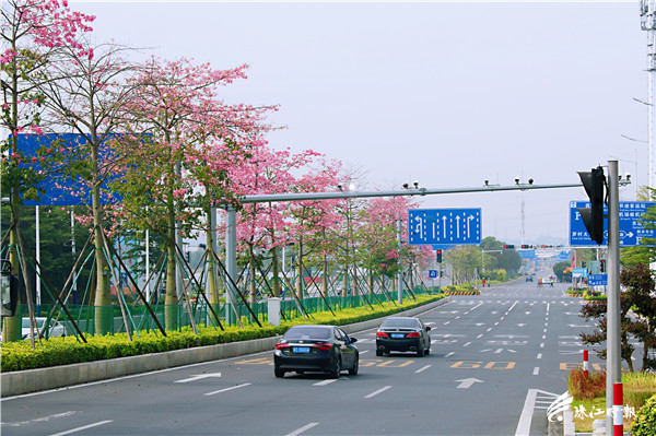 c57bb153e54d4b5b999fa29b3d8963d9.jpg