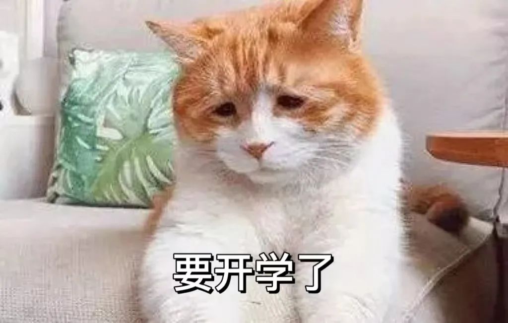 c648bc6003ce4428a23db3f3cbd69d46.jpg