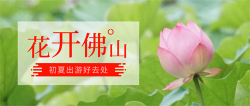 c7423de99a994dddbb579090fb614d3a.jpg