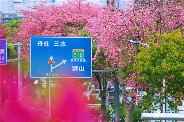 c856e7ff25a14851872f12f2aa606616.jpg