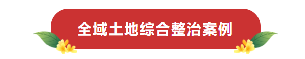 d0274a65e5fd4b0ca3754b0d9ee71e50.png